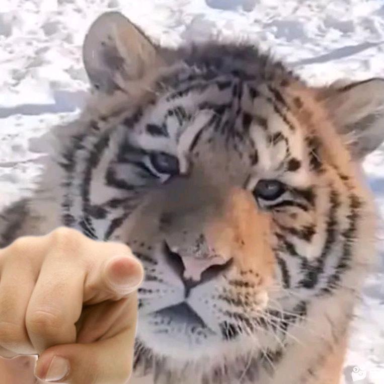 小牛回收废旧物资废旧车辆