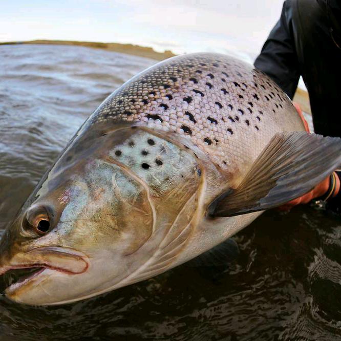 半日闲渔业基地