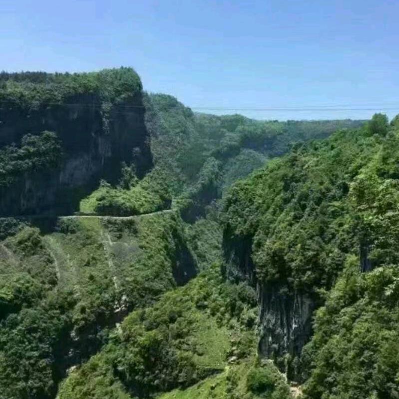 用户541676开心