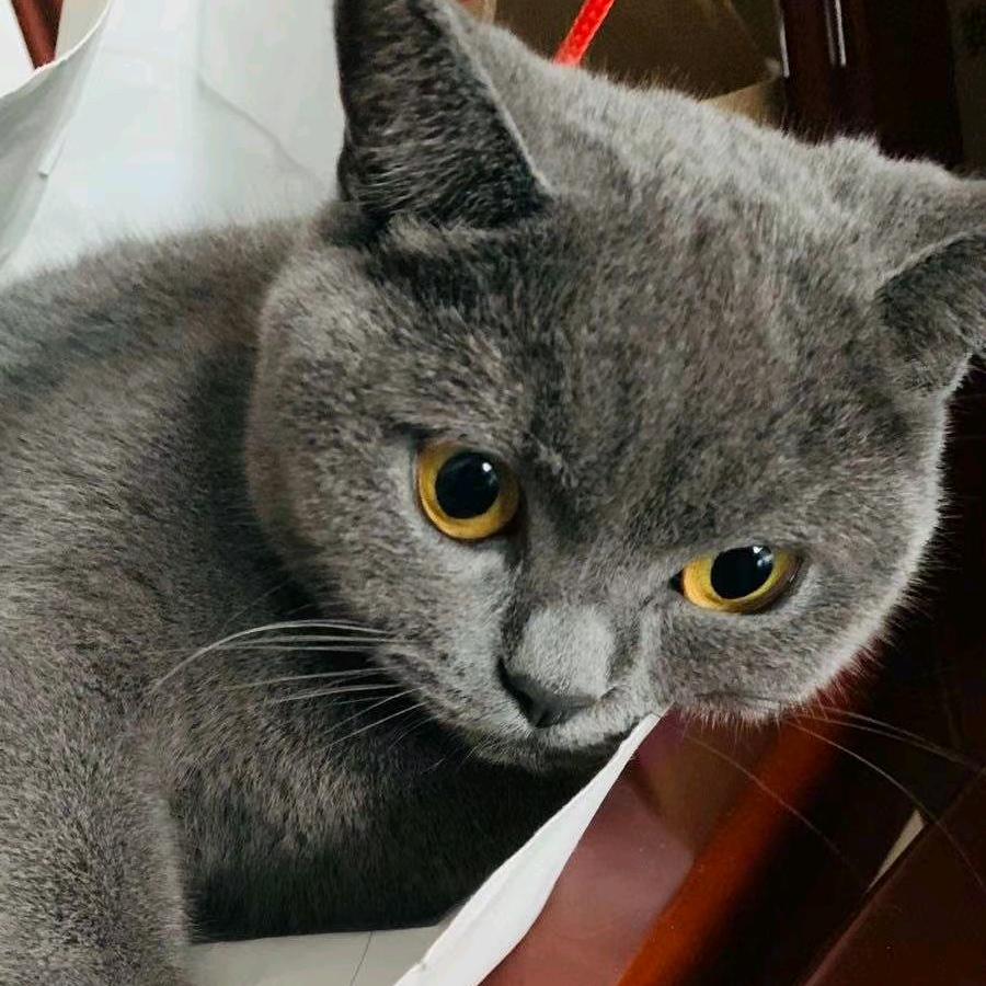 昆山楚韵墙绘。