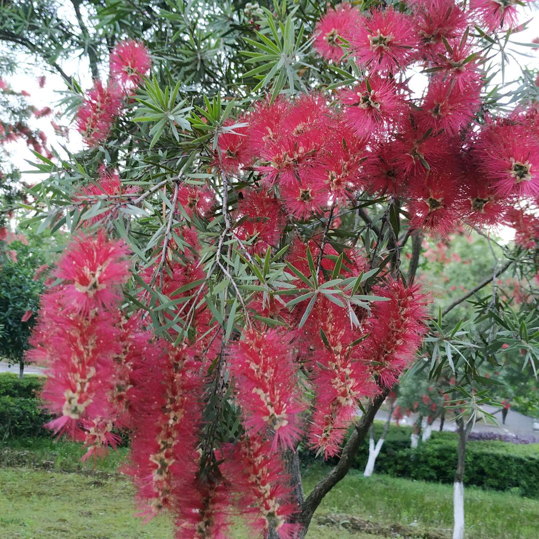 王姐