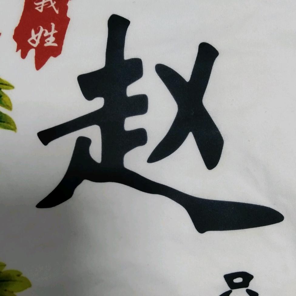 赵歌，爱唱歌