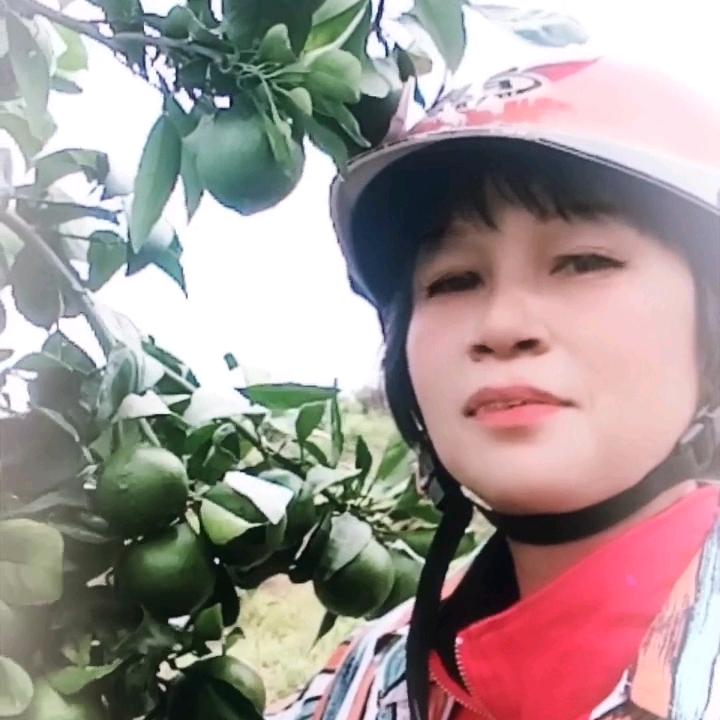 莲