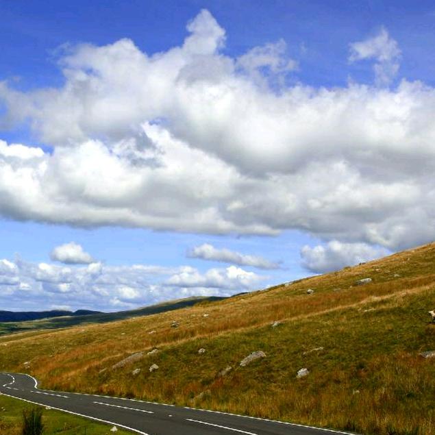 老婆是我的幸福