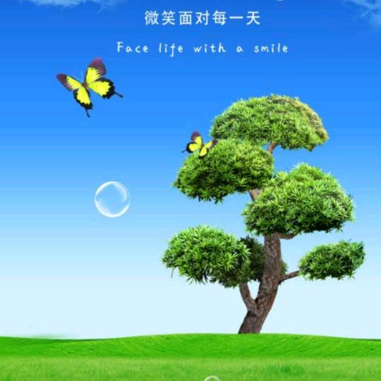 四