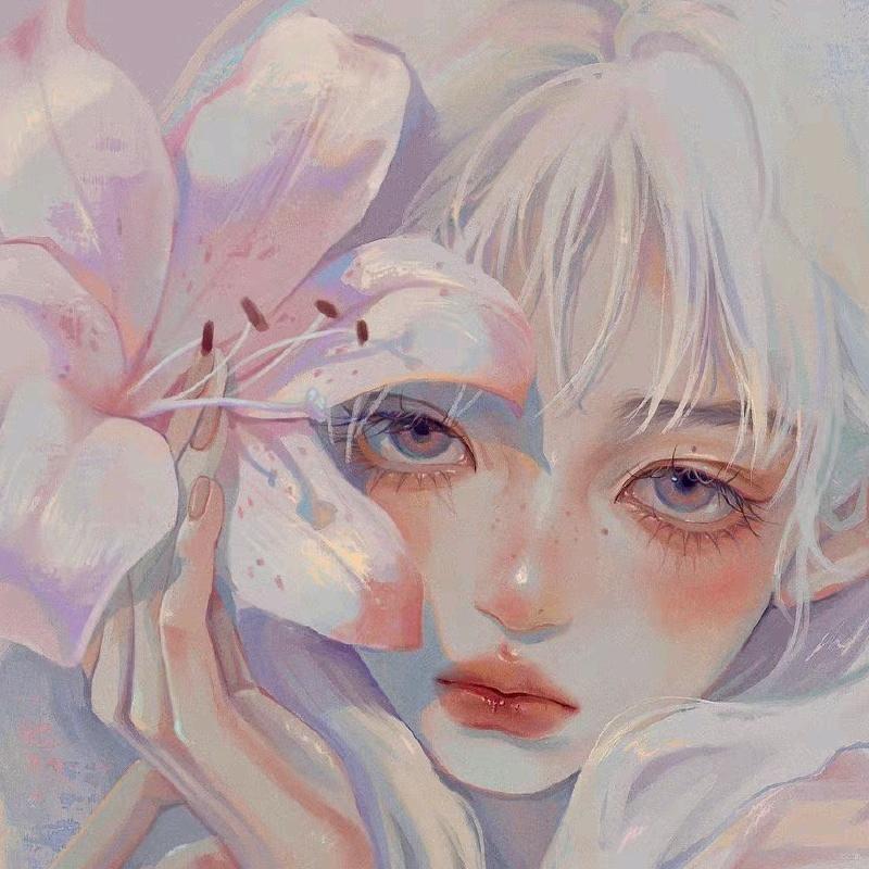 飞莱鸽绝不倒