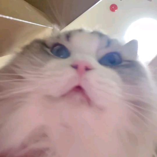 哈哈哈哈哈哈哈哈哈