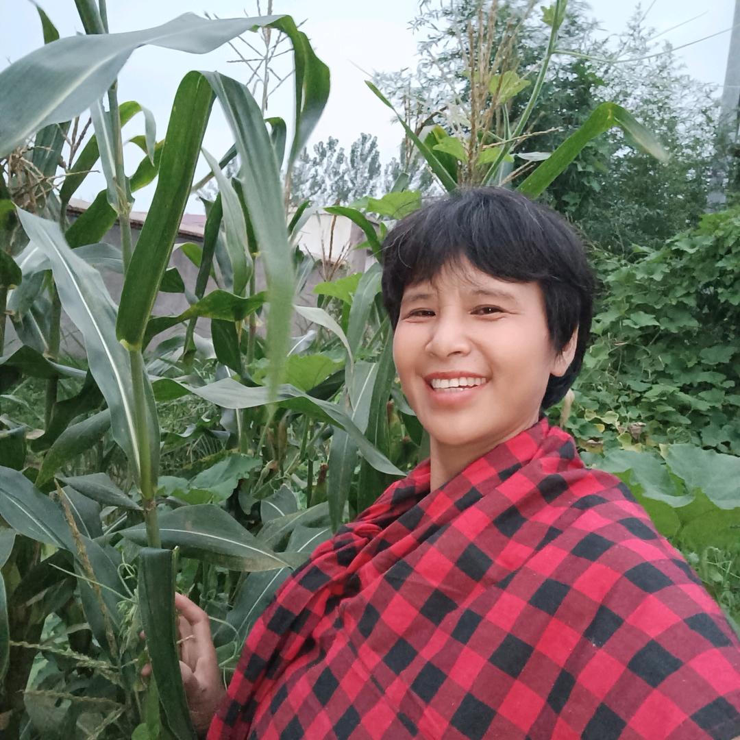 纯真的农民
