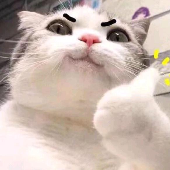 本人变态行为不要给我ip快乐老家扣分