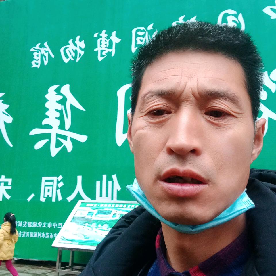 李《yi″伦