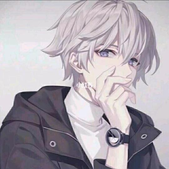 HYS月镜