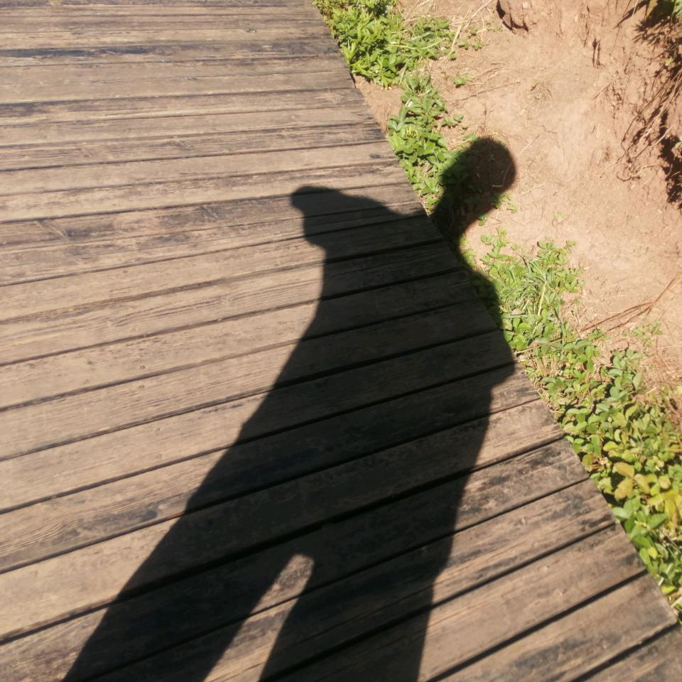 ฅ治欧洲এ᭄ꦿ