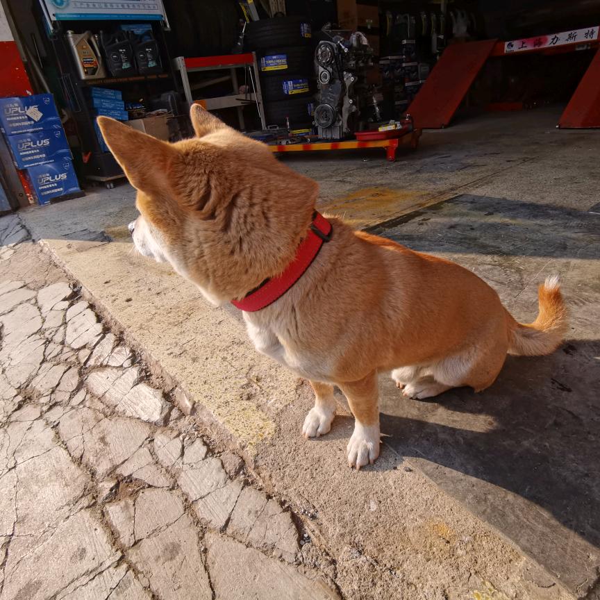 格灵润滑辉腾快修保养轮胎硬伤修复