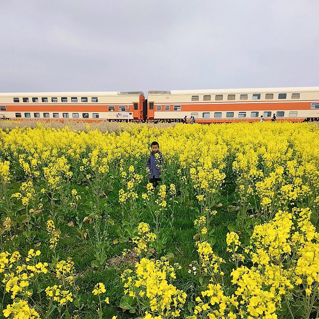 一半疯了一半算了