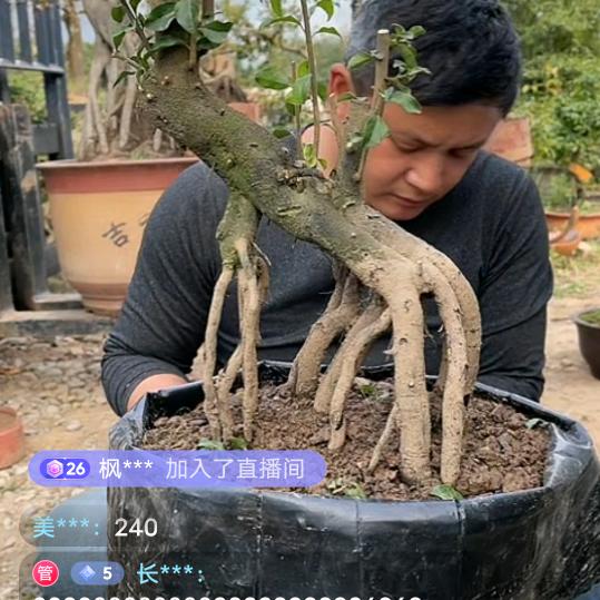 顺其自然