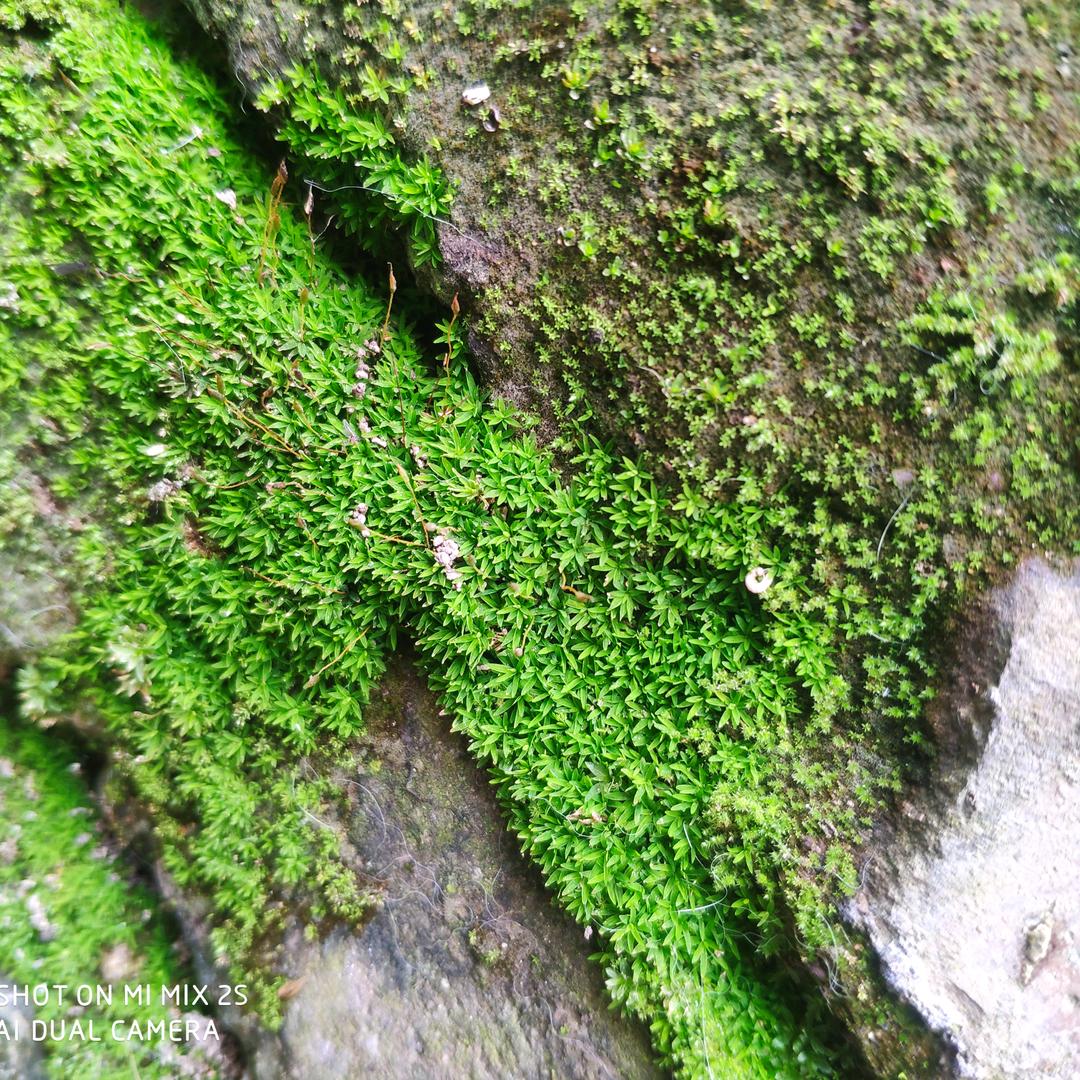 。。。。。。。。。