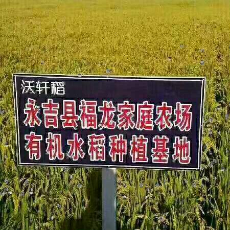 福龙农场吉林大米