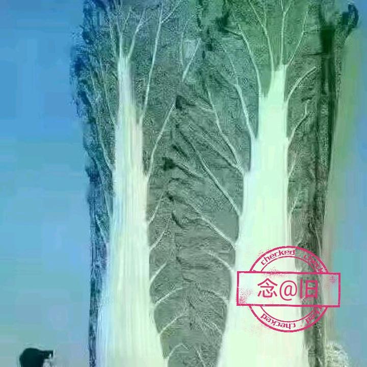 念@旧