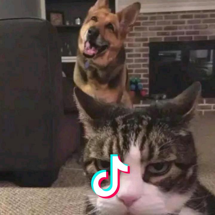 ฯ头像