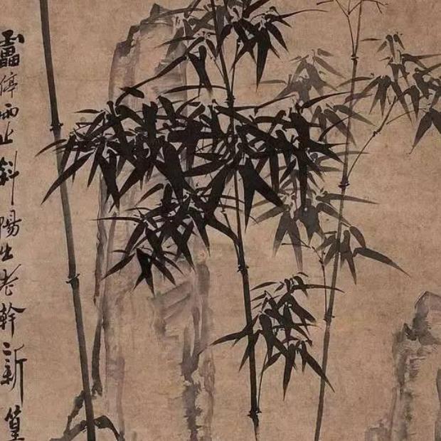 愉竹