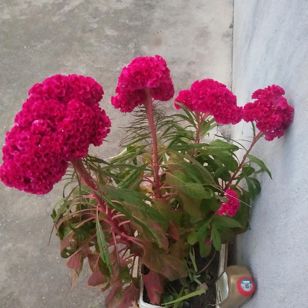 在我心里从次有个你