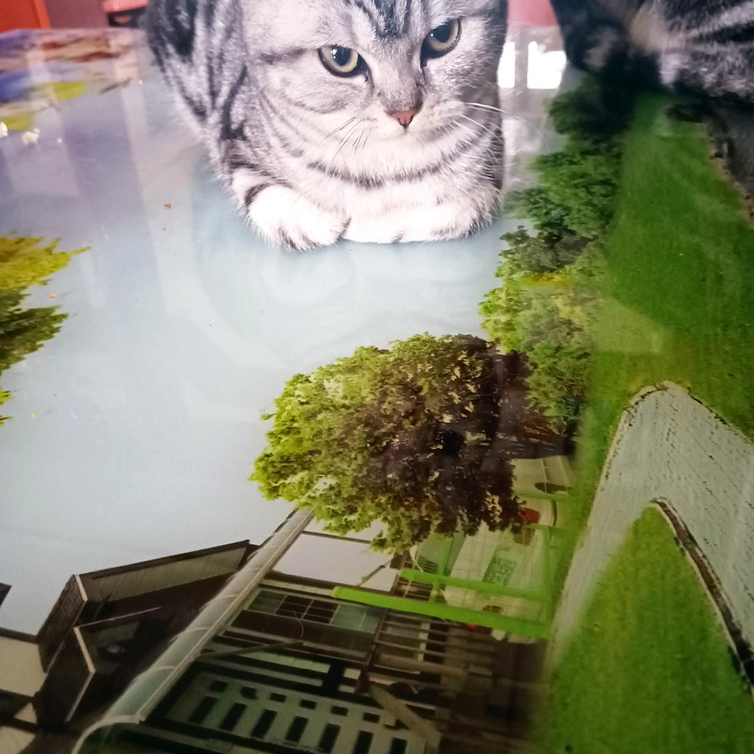 快乐生活