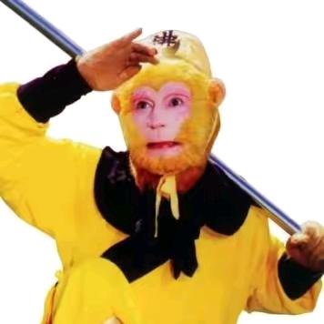 金钱豹太多（烦死了）