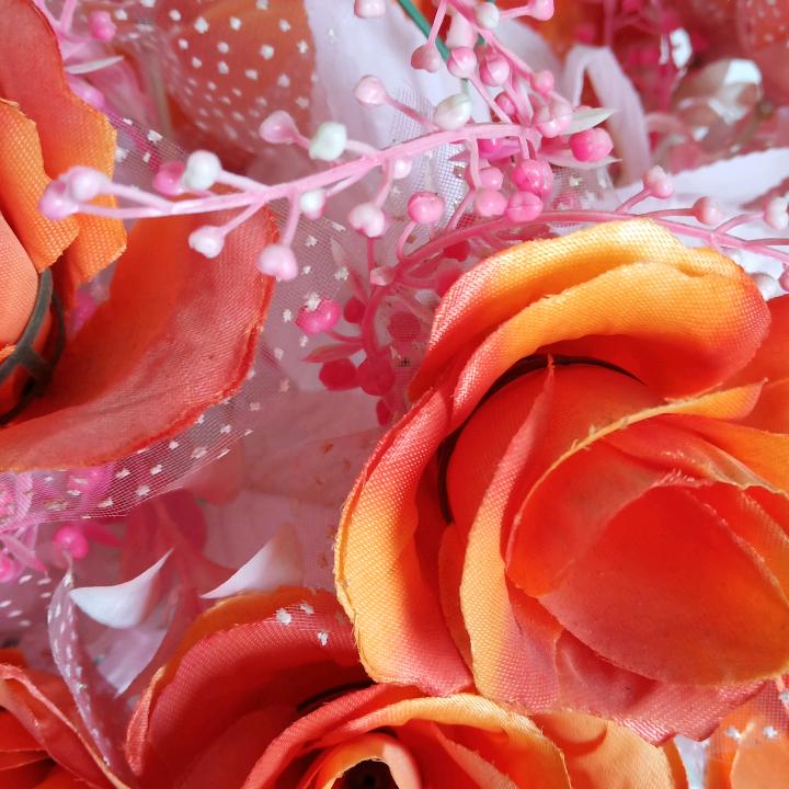 四川南充阆中，柏垭场杨杨