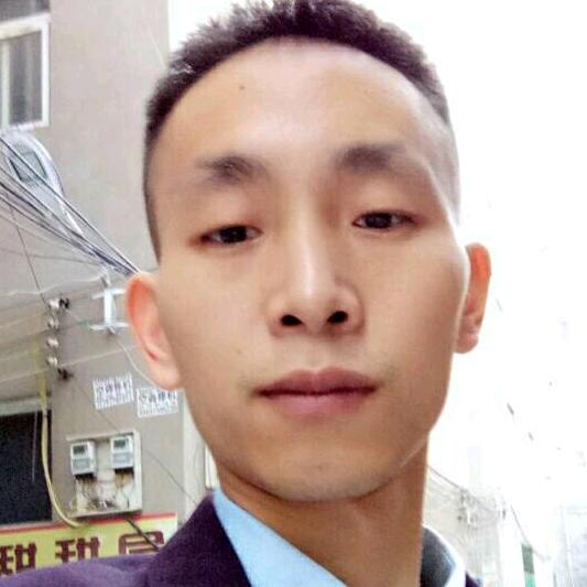 坚强的蚂蚁