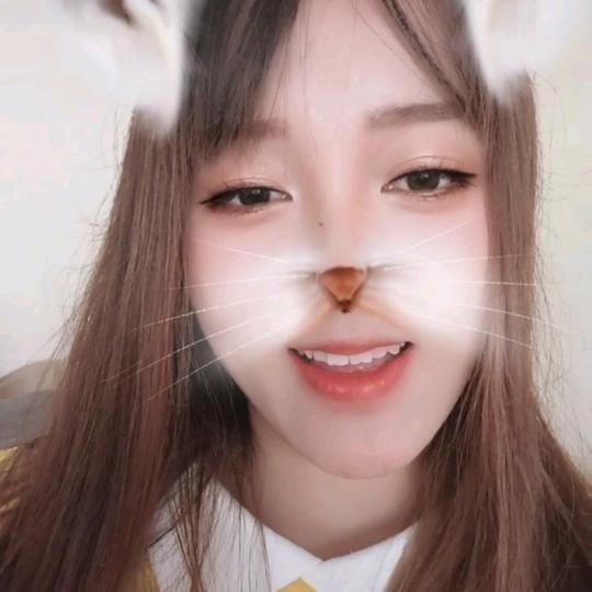 介休市小马通讯