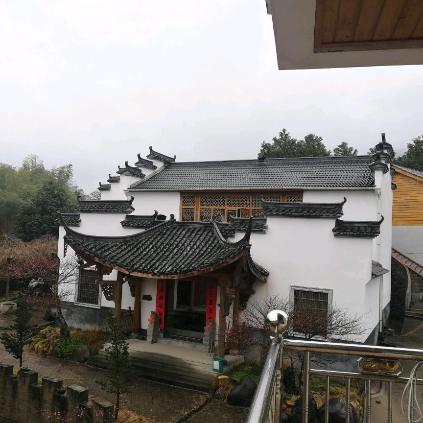 神仙奇木