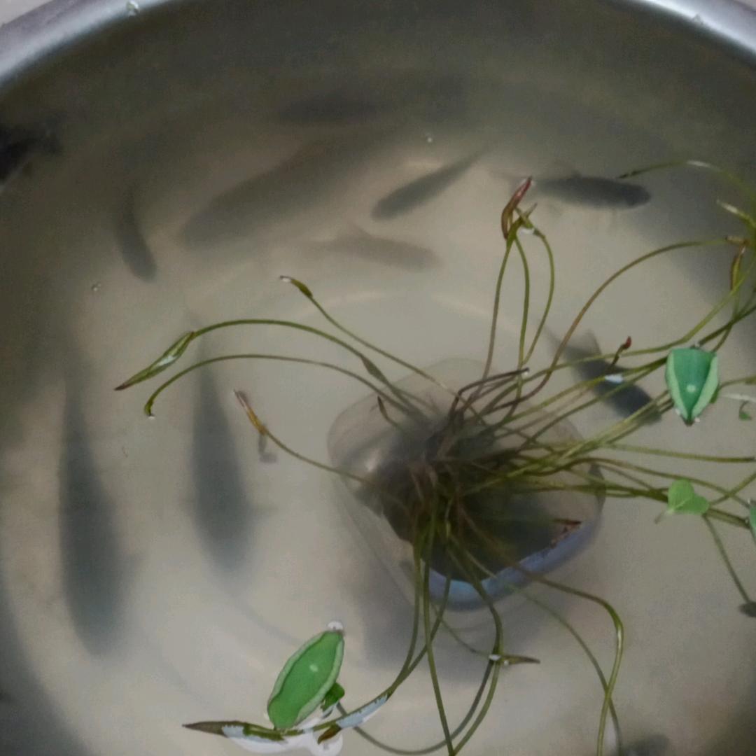 用户7118844177510小水滴