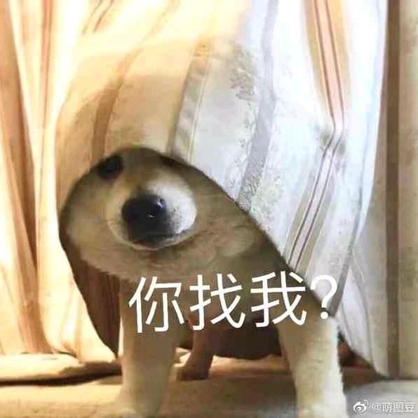每天都想睡觉🍌