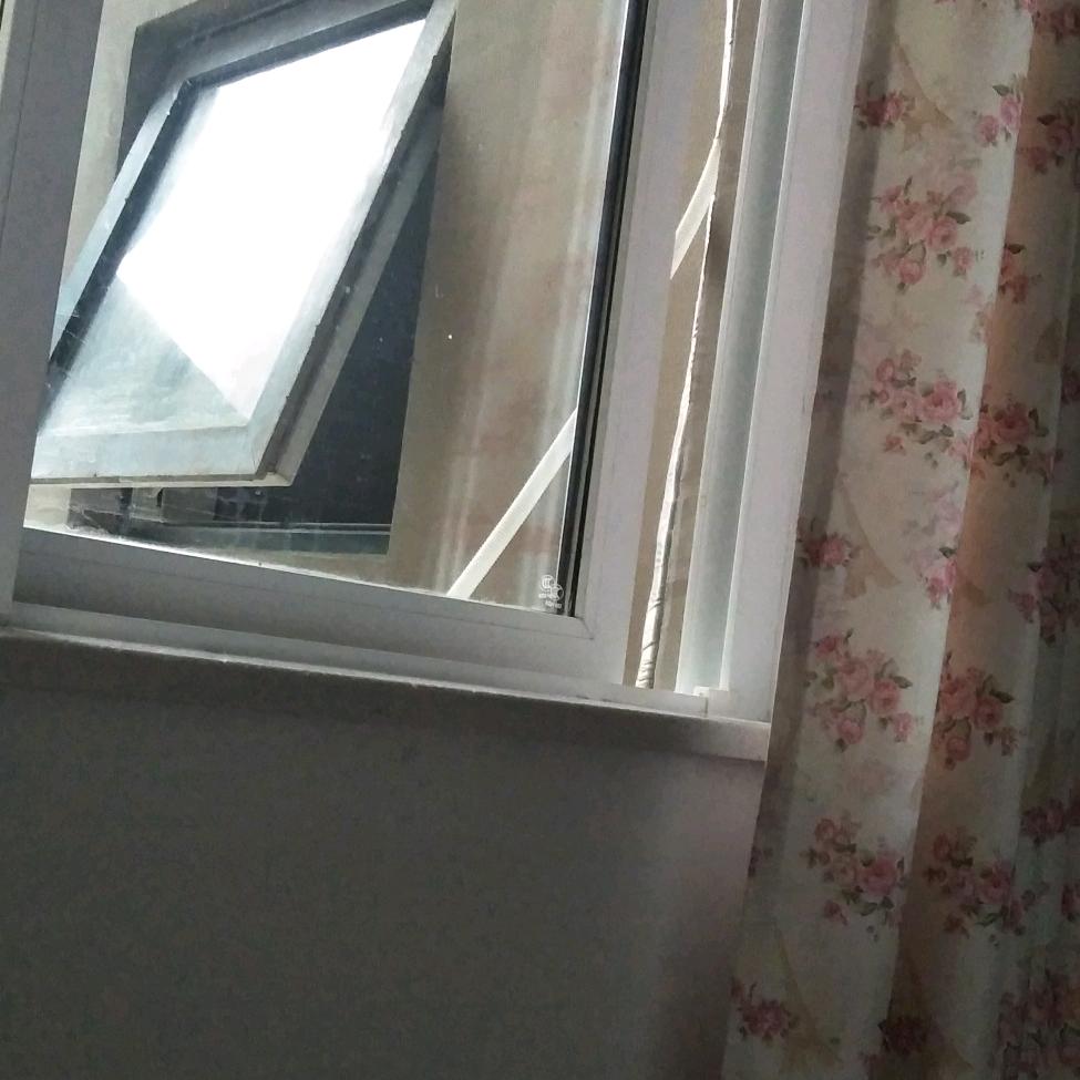 向曰葵