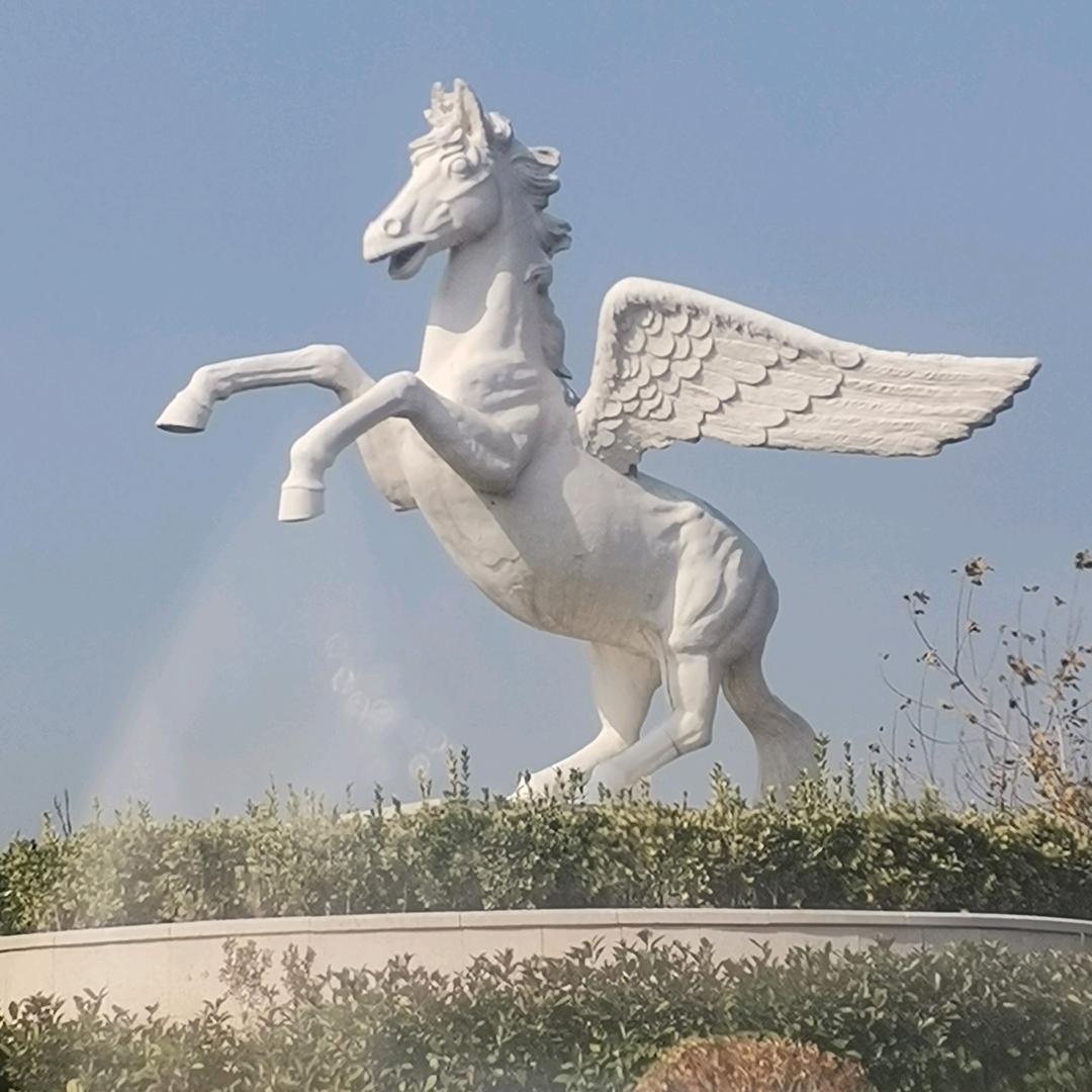 可乐