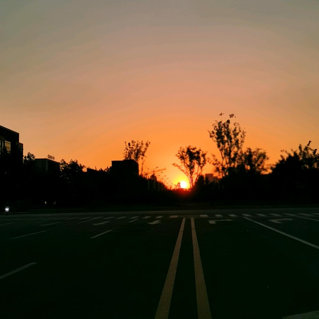 日生木似水