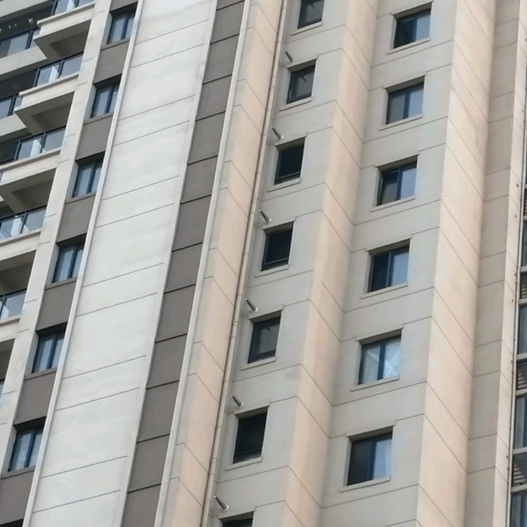 摘下满天星
