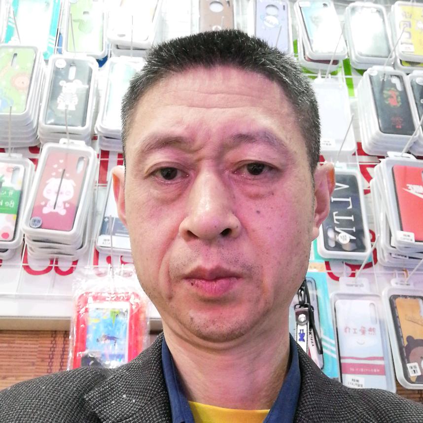 森海之木