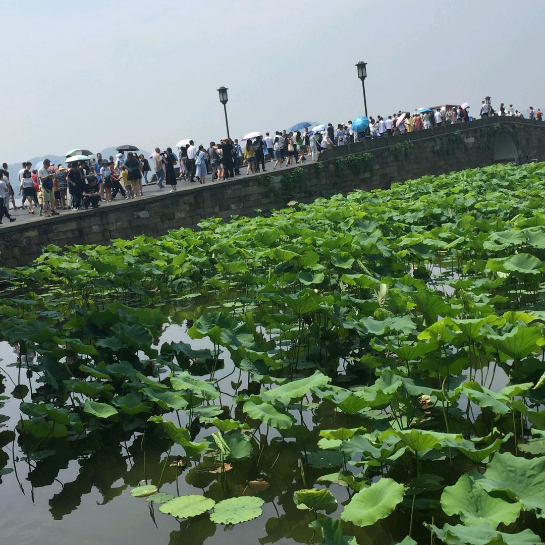 梦想旅途