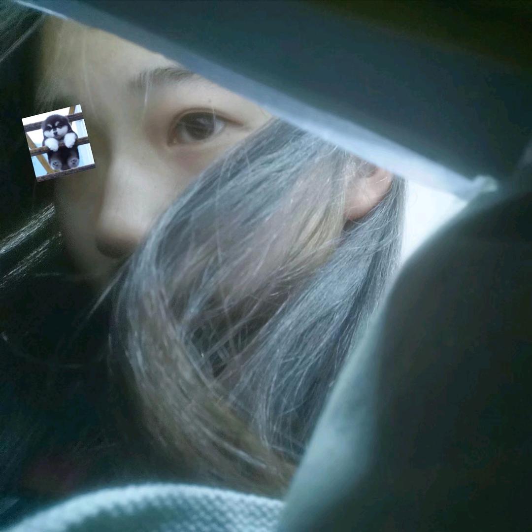 蒙蒙想睡觉•́‸ก头像