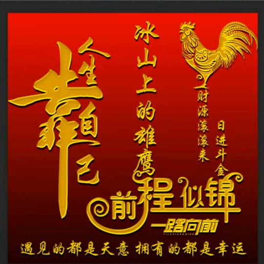 冰山上的雄鹰