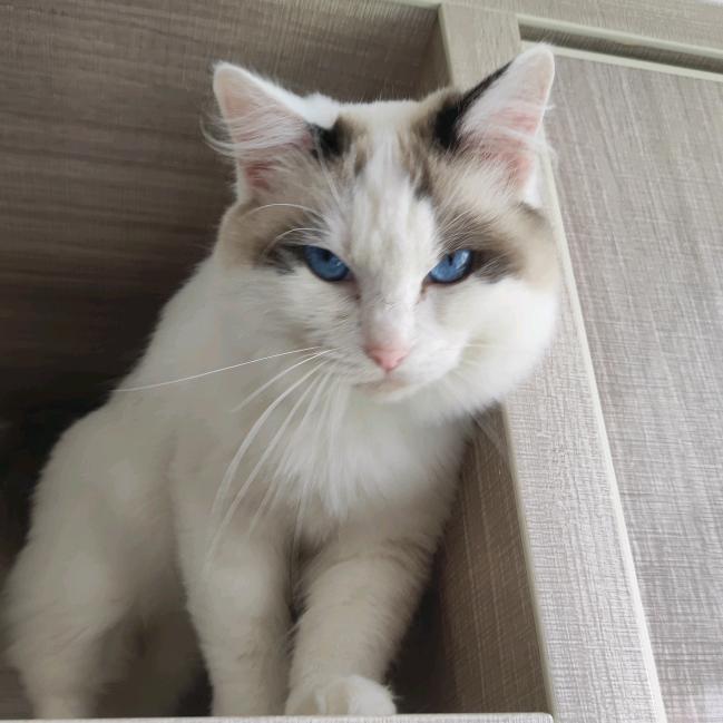 田径解说小唐