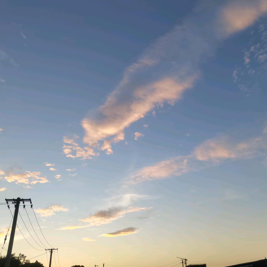 用户683