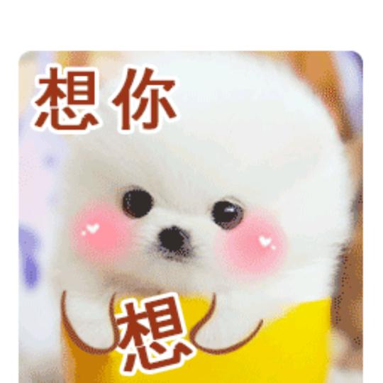 唯我独尊