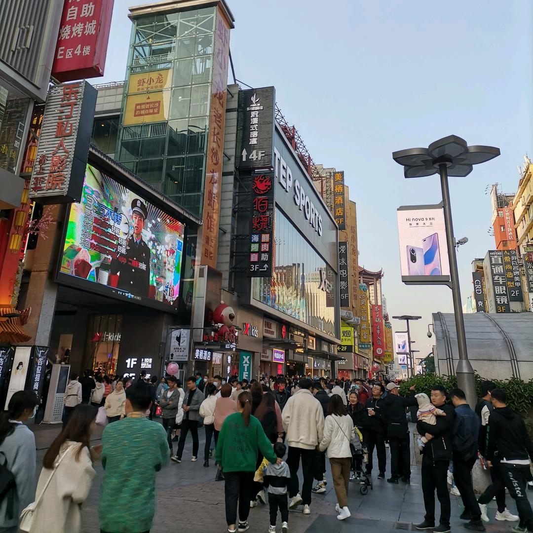 丨杨乐多