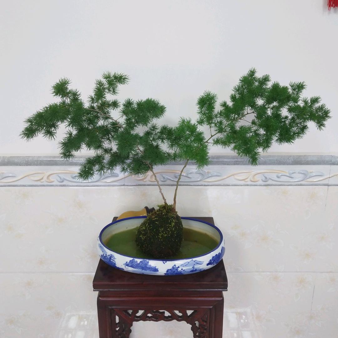 绿源～山水
