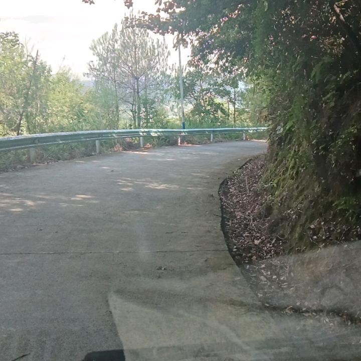 天天在思念