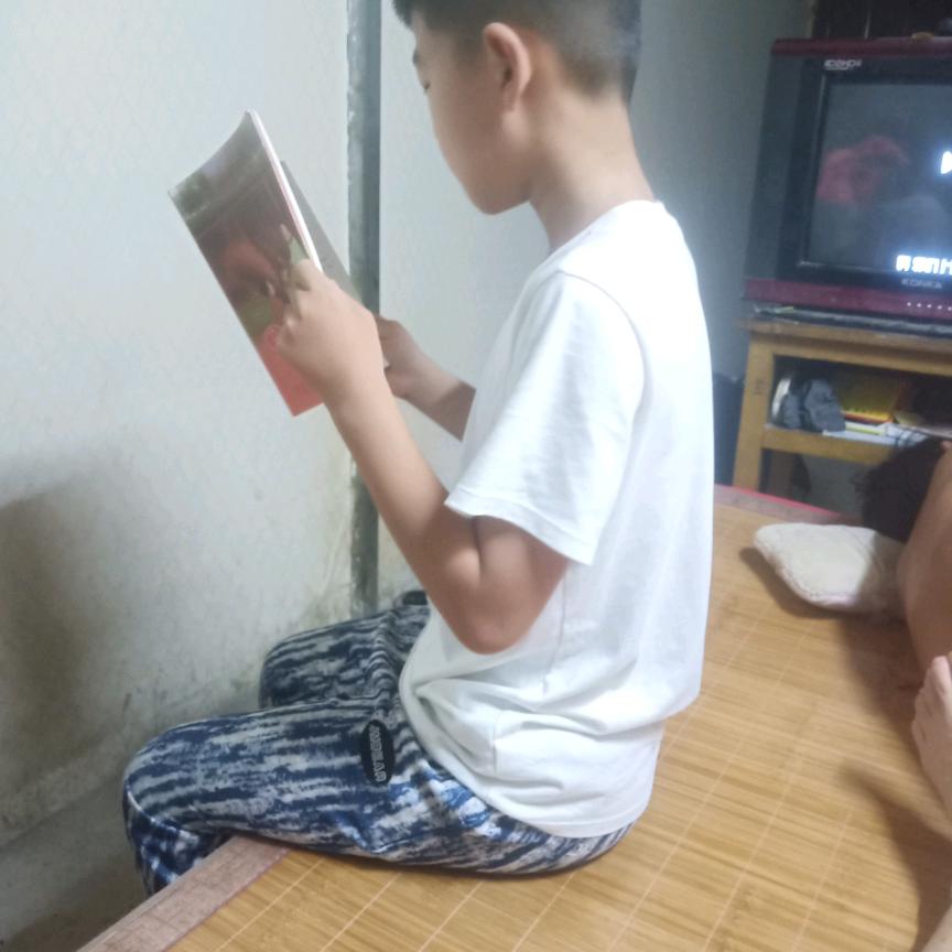 小森林