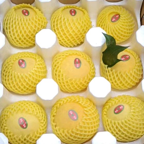 知青果业🍑（枣阳黄桃）