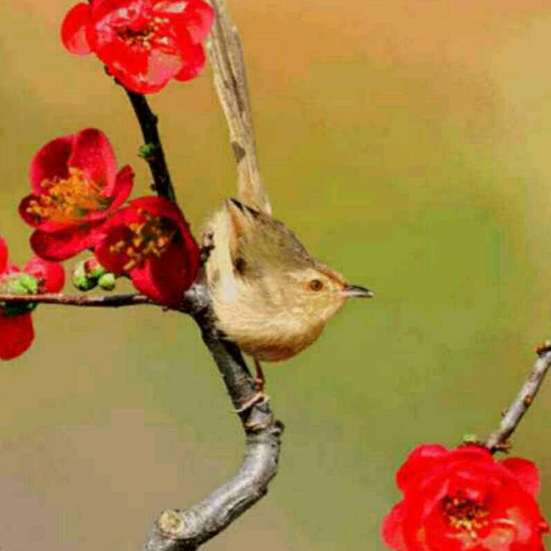 永远放你在心底